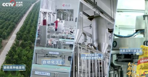 洽洽食品2022年三季度凈利潤達6.27億元，同比增長5.45%，技術服務成新增長點
